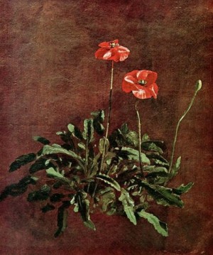 Study for Poppies